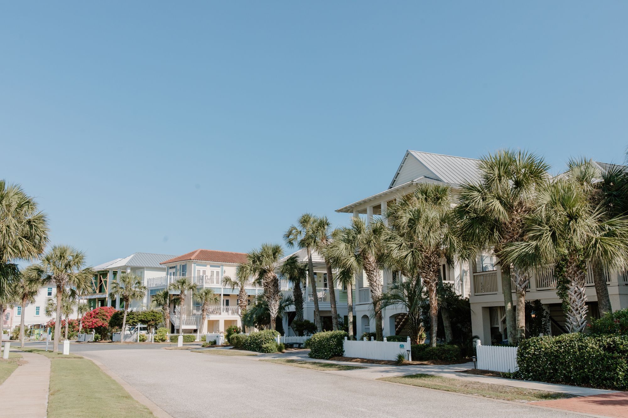 Florida street of homes lined with palm trees