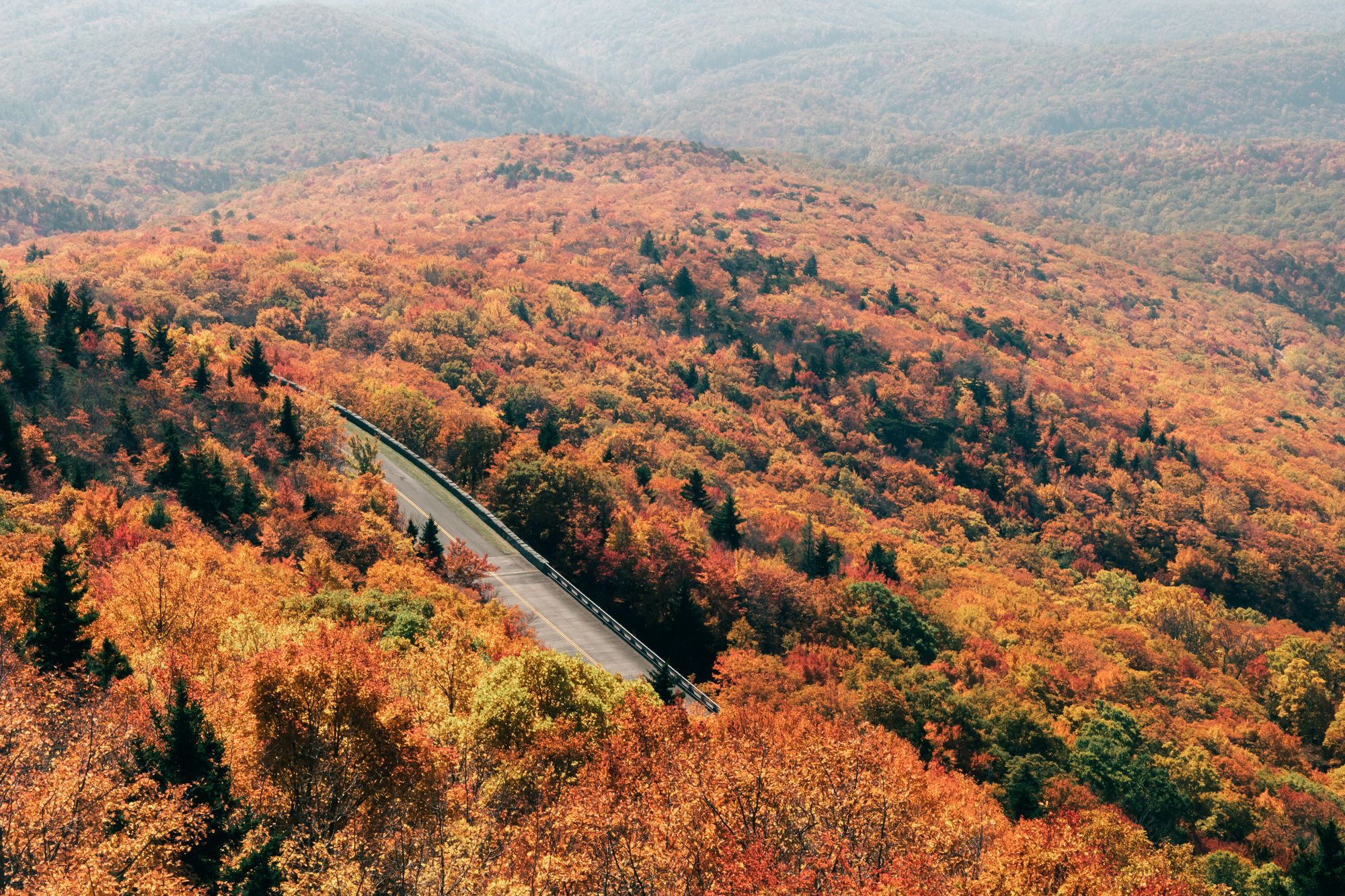 Road winding through a forest in full autumn color