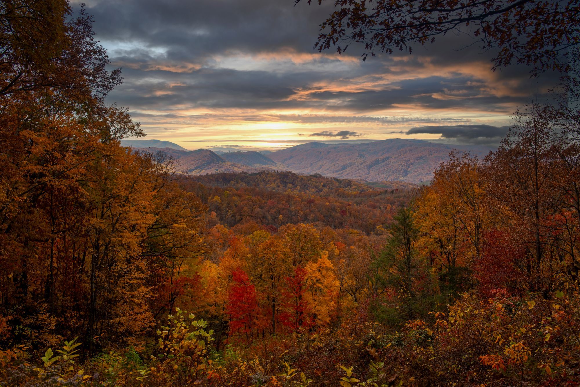 Autumn color in the Smoky Mountains near Gatlinburg