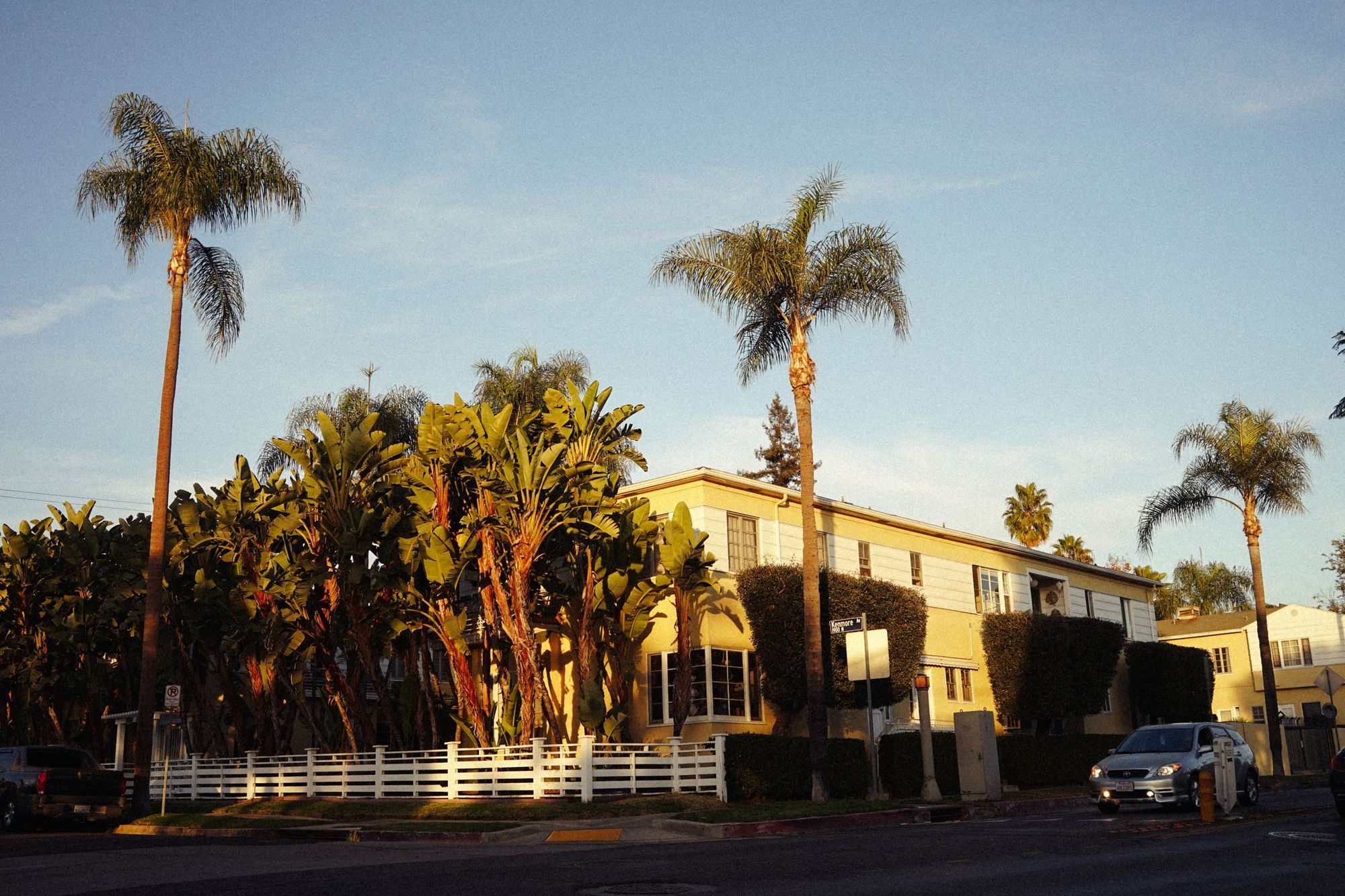 Home framed by palm trees in the golden evening light