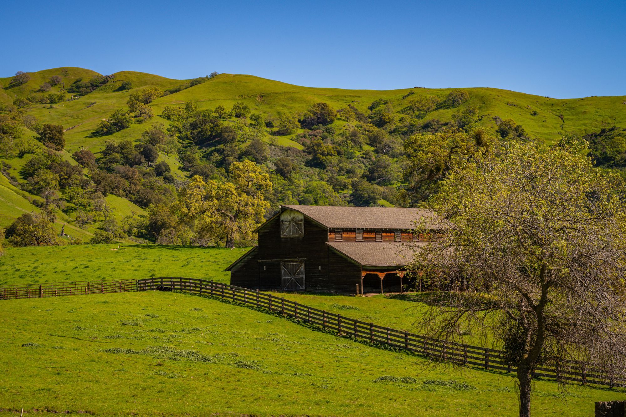Rolling green hills with a barn and farmland